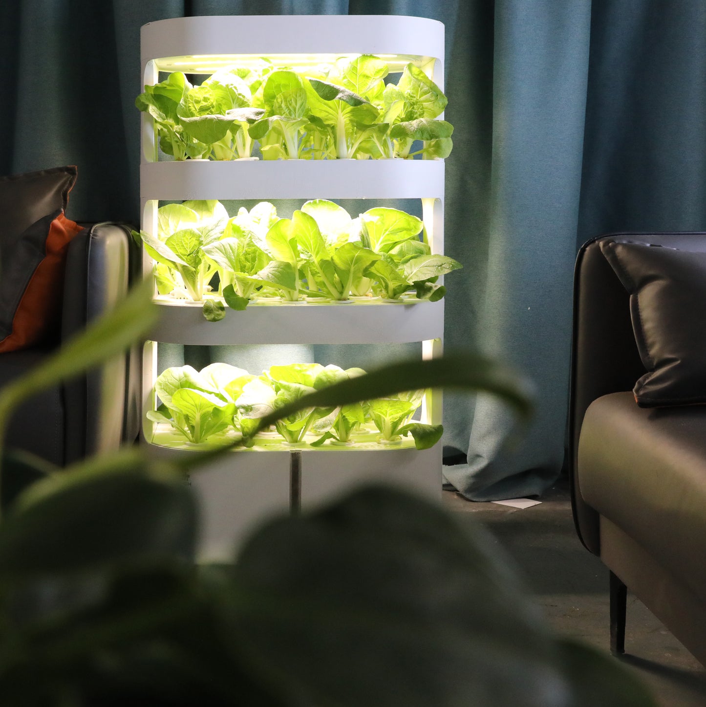 Three layers of white hydroponic system are planted with green vegetables each layer douliangzhedeng.