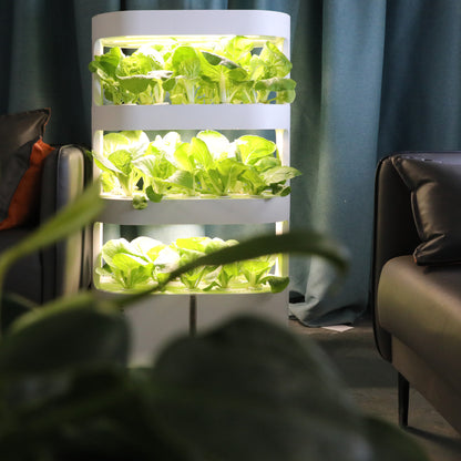 Three layers of white hydroponic system are planted with green vegetables each layer douliangzhedeng.