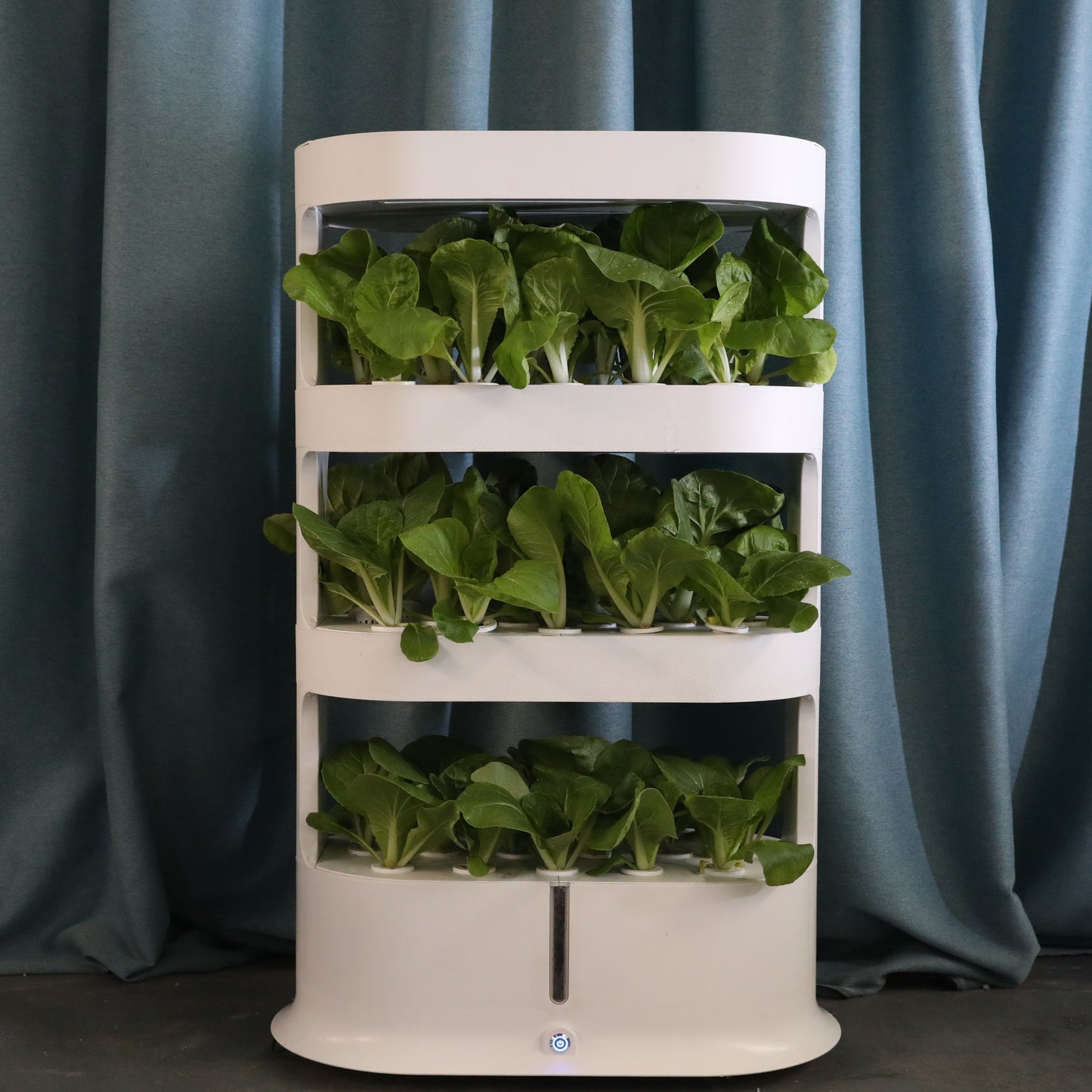 Three layer white hydroponic system, with green vegetables planted on each layer