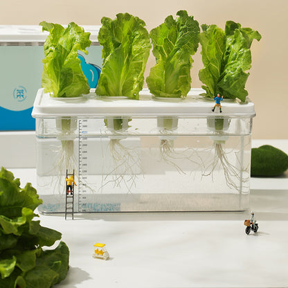 Simple Hydroponic System | Aquaponics | Transparent Design