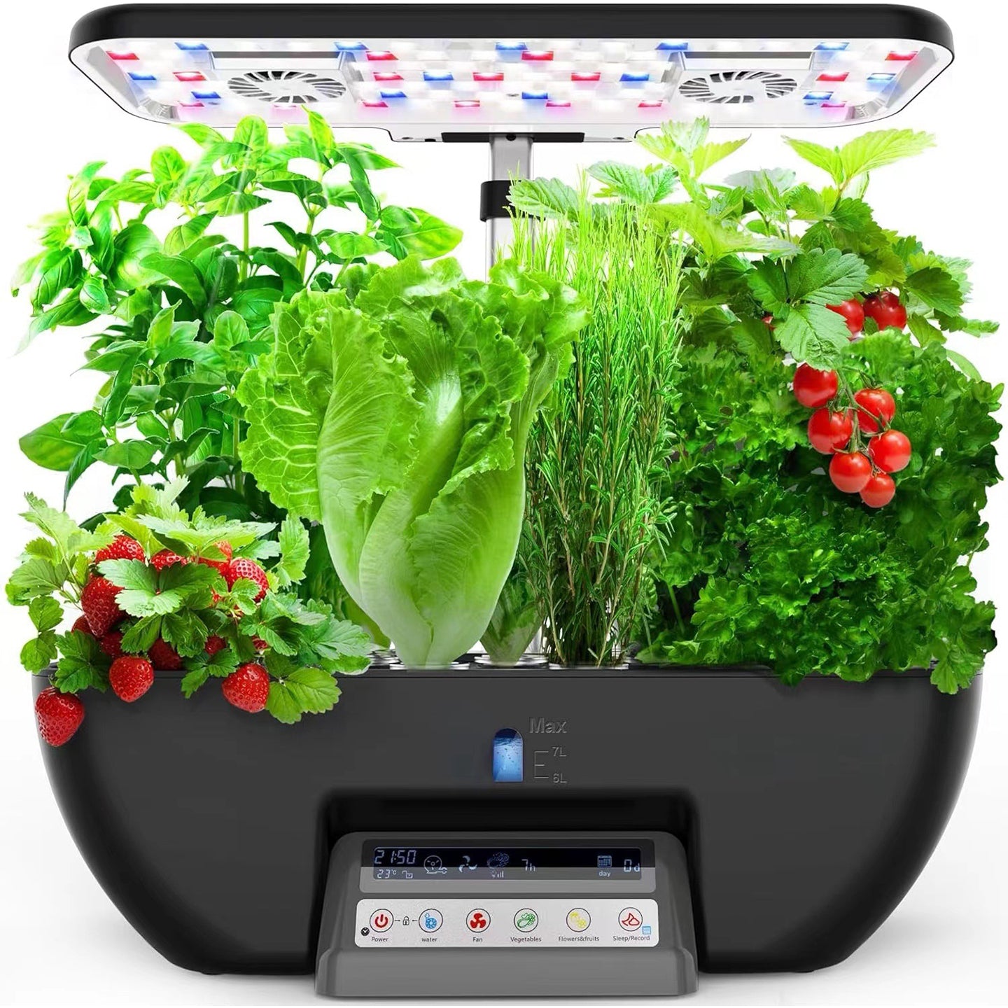 Smart Indoor Hydroponic Garden | Fully Automated Vegetable Growing System for Home Use | vvcultivate