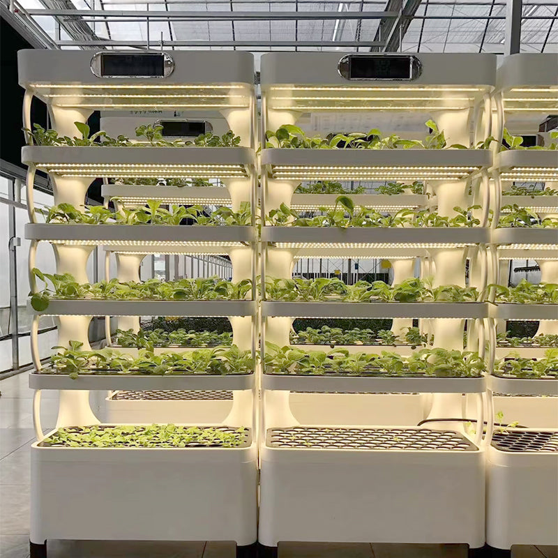 A hydroponic system with lights on