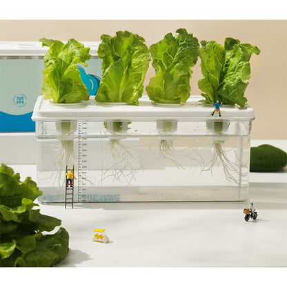 Simple Hydroponic System | Aquaponics | Transparent Design