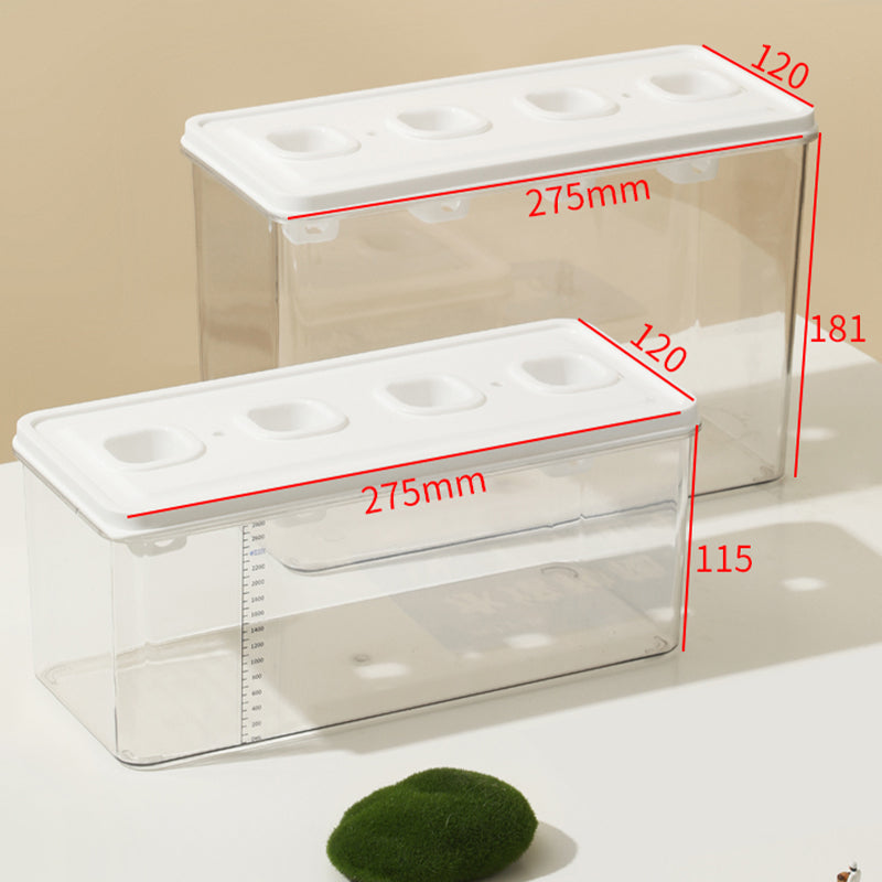 Simple Hydroponic System | Aquaponics | Transparent Design