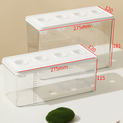 Simple Hydroponic System | Aquaponics | Transparent Design