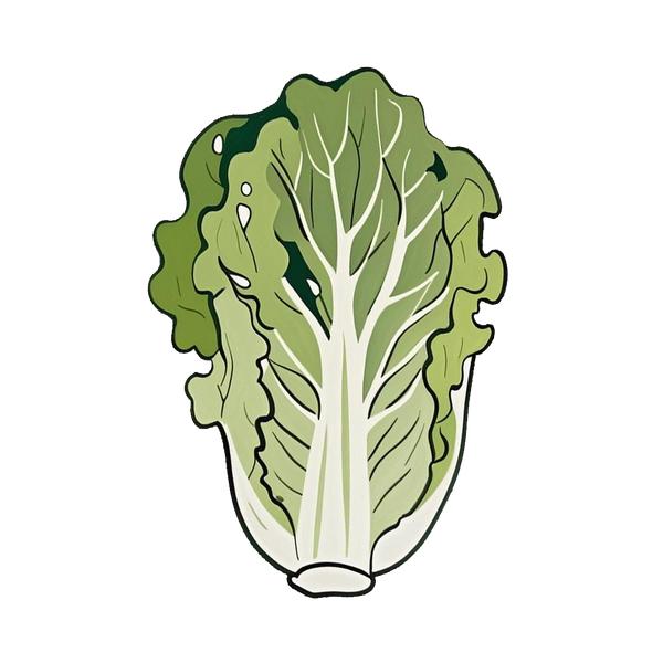Hydroponic cultivation