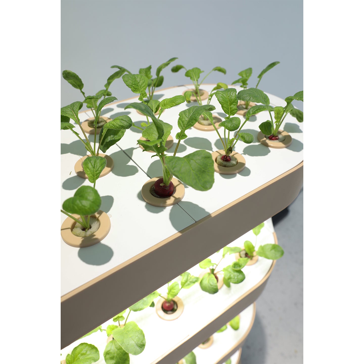 Smart Indoor Vertical Hydroponic Garden with LED Grow Light