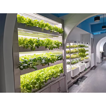 Intelligent hydroponic growth system | 5 vertical layers | With lighting and water pump
