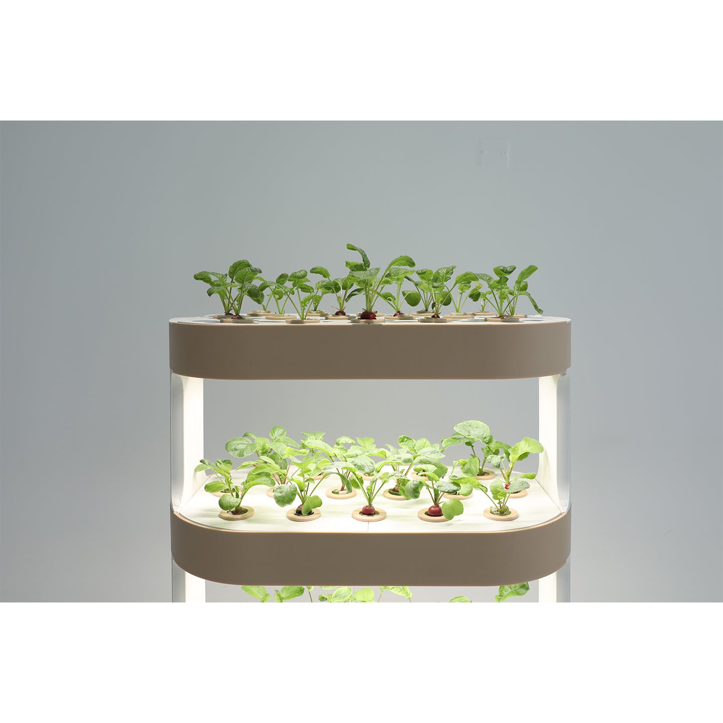 Smart Indoor Vertical Hydroponic Garden with LED Grow Light
