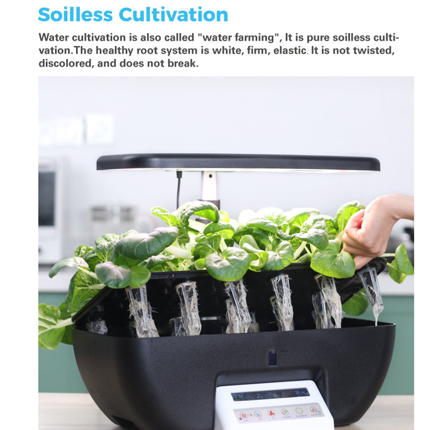 Smart Indoor Hydroponic Garden | Fully Automated Vegetable Growing System for Home Use | vvcultivate