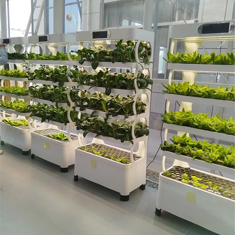 Multiple hydroponic machines arranged in a row