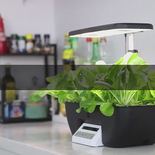 Smart Indoor Hydroponic Garden | Fully Automated Vegetable Growing System for Home Use | vvcultivate