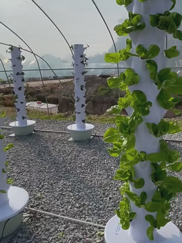 9-Tier Hydroponic System - Vertical Herb Garden for Indoor Planting